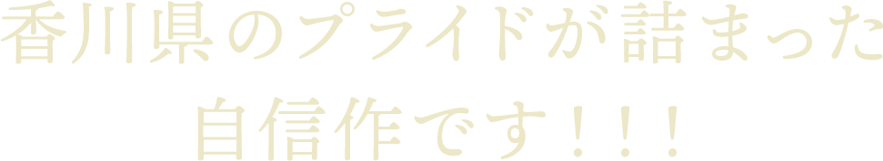 テキスト13