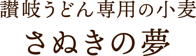 テキスト3
