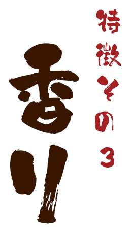 テキスト9