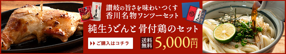 さぬきうどんと骨付鳥セット