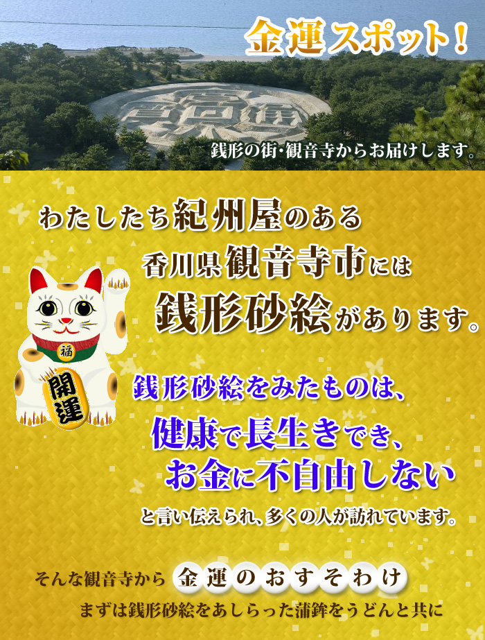 銭形金運アップセット　さぬきうどんとかまぼこ